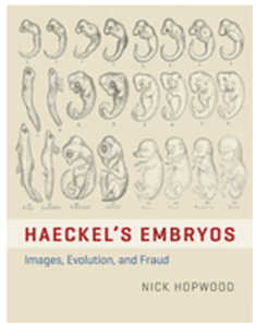 Image courtesy University of Chicago Press